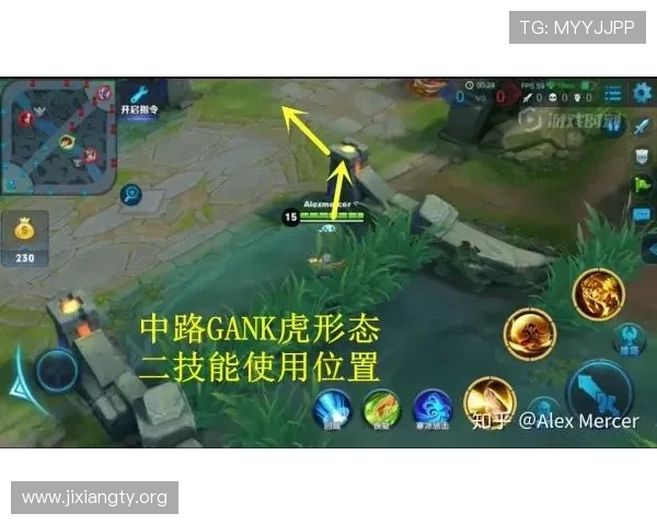 出龙和虎的玩法规则详解：帮助玩家快速理解游戏机制